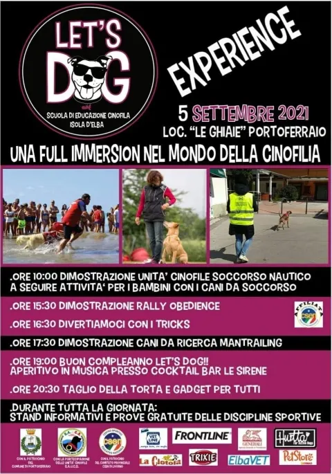 Let's Dog Experience