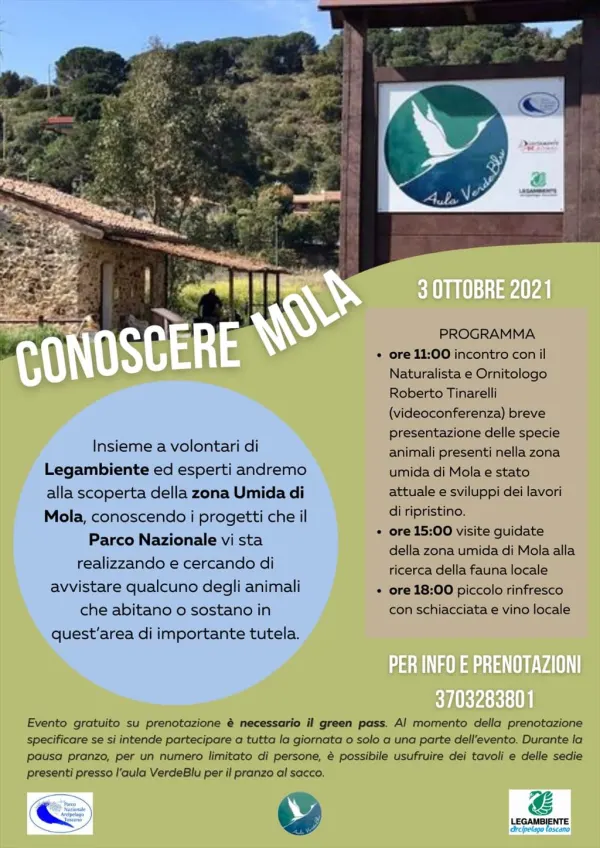 Conoscere Mola