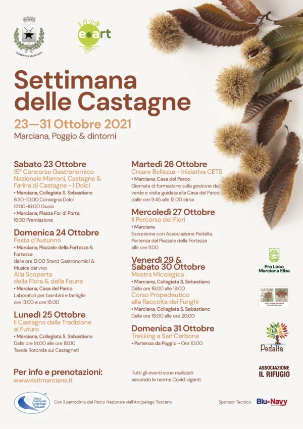 Settimana delle castagne