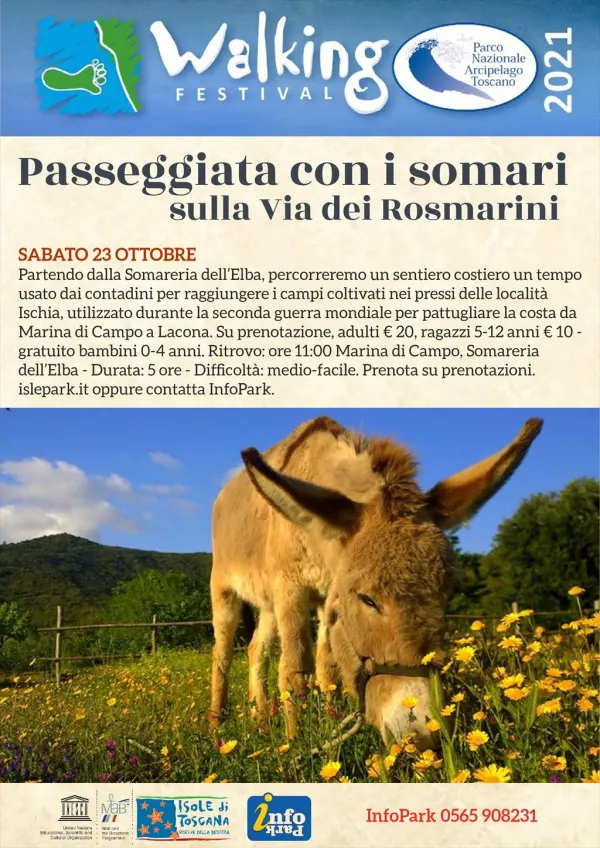 Passeggiata con i somari sulla Via dei Rosmarini