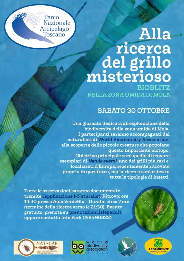 Alla ricerca del grillo misterioso - bioblitz a Mola