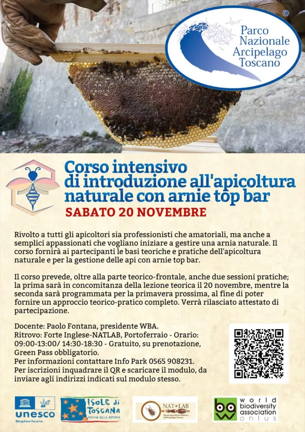 Corso intensivo di introduzione all'apicoltura naturale con arnie top bar