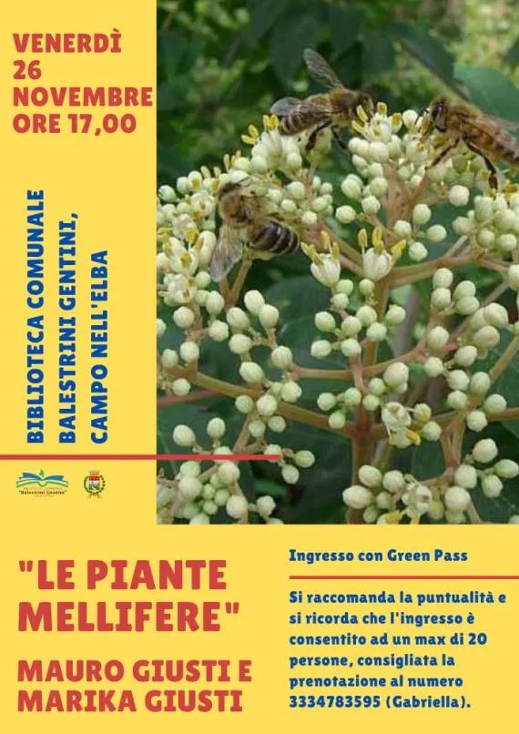 Le piante mellifere