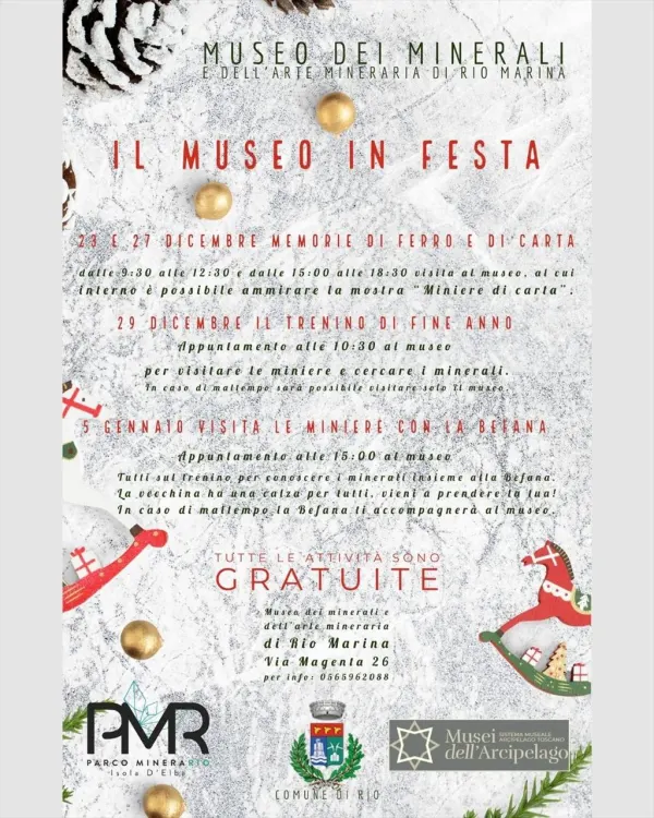 Il Museo in festa
