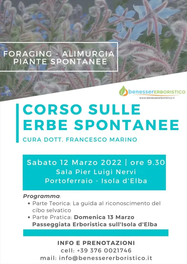 Corso sulle Erbe Spontanee