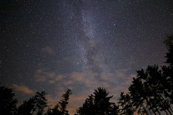 Passeggiata notturna a Capo d’Enfola con gli Astrofili Elbani