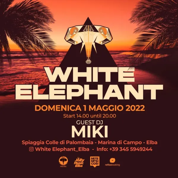 White Elephant