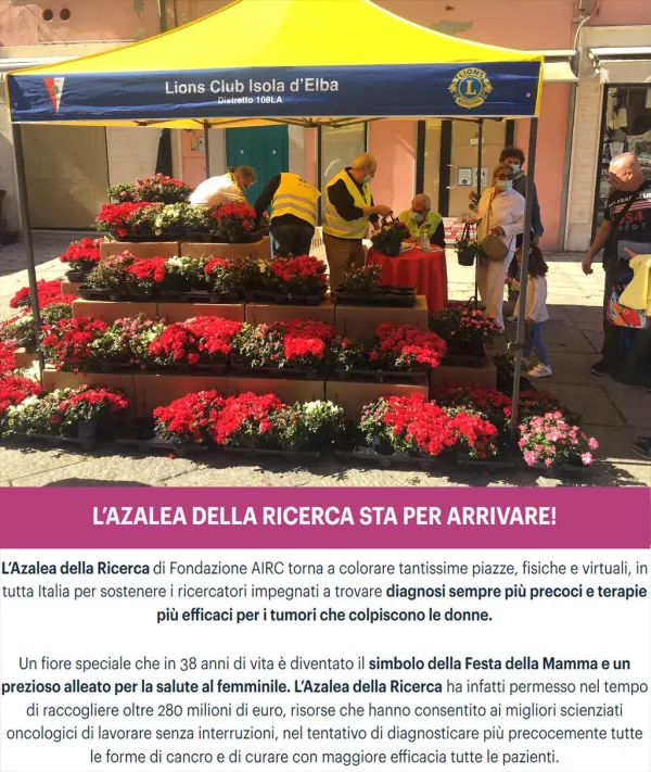 L'Azalea della Ricerca a favore dell'AIRC