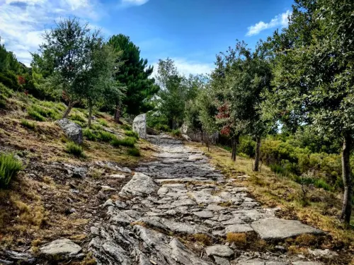 Escursione Marciana - Chiessi