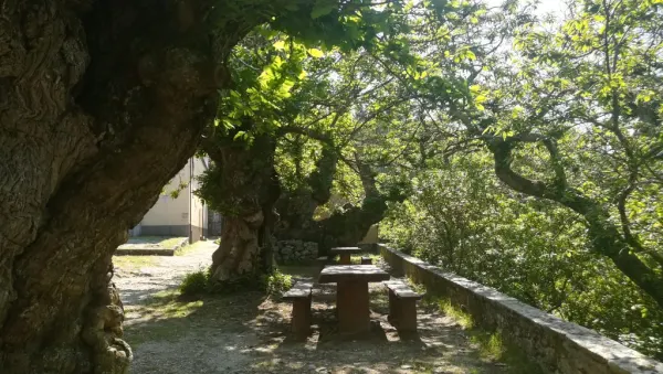 In cammino nei Parchi - La Madonna del Monte