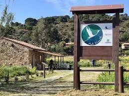 Attenti alla tartaruga! Monitoriamo le spiagge
