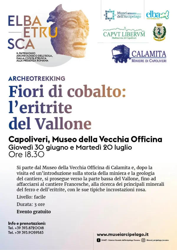 FIORI DI COBALTO: L'ERITRITE DEL VALLONE
