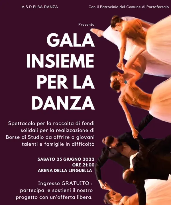 Gàla insieme per la danza