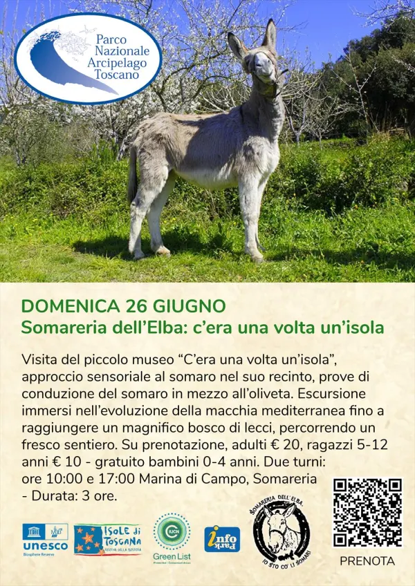 Somareria dell'Elba, c'era una volta un'isola