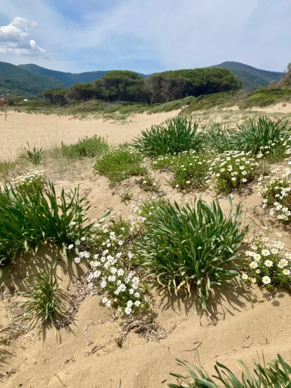 Le dune di Lacona: visita e aperitivo a Km0