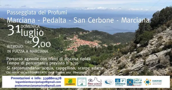 Passeggiata per i Sentieri dei Profumi a Marciana Marina - Marciana - Pedalta - San Cerbone