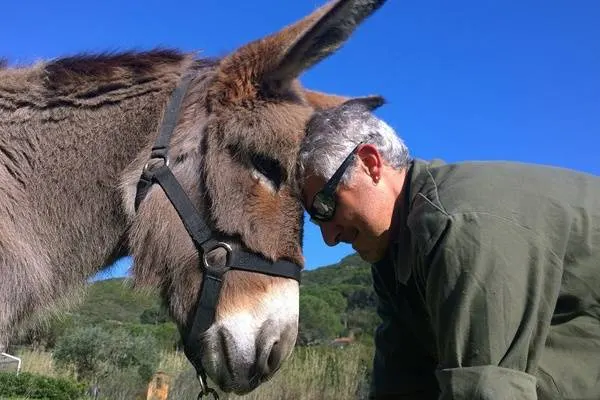 Somareria dell'Elba in autunno: c'era una volta un'isola