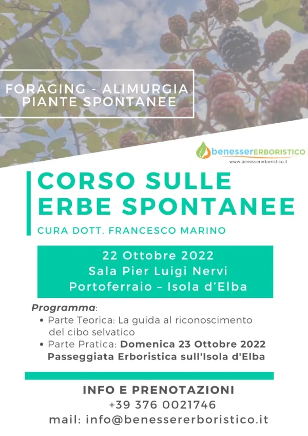 Corso sulle Erbe Spontanee