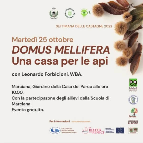 DOMUS MELLIFERA - Una casa per le api