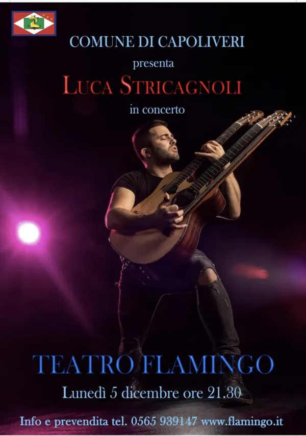 Luca Stricagnoli in concerto