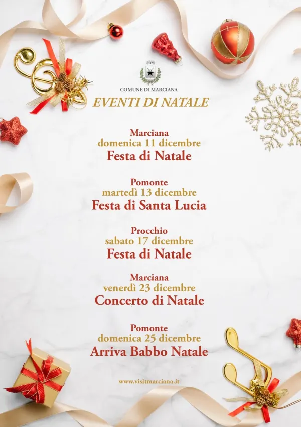 Festa di Natale