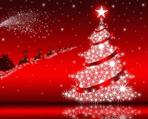 Accensione dell'Albero