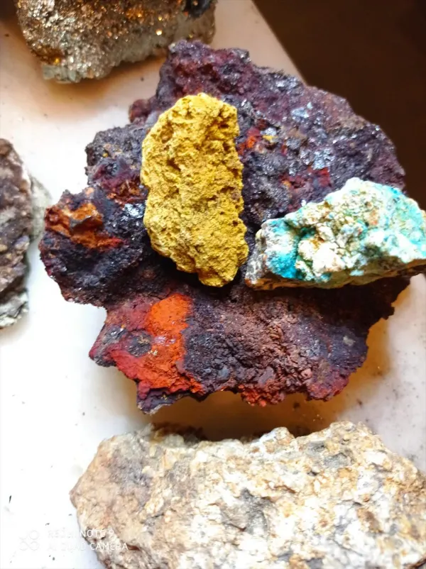 MUMLAB Laboratorio di Geologia per famiglie