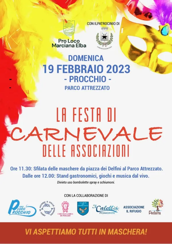 Festa di Carnevale delle associazioni