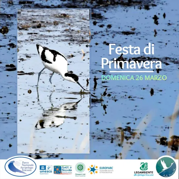 Festa di Primavera