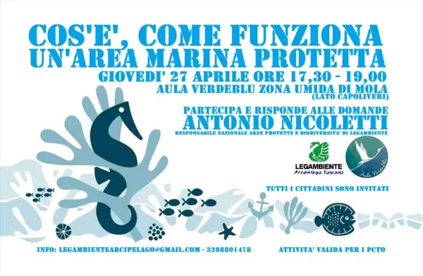 Cos'è, come funziona un'area marina protetta
