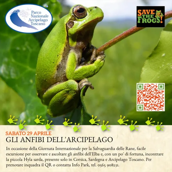 Trekking. Gli anfibi dell'Arcipelago