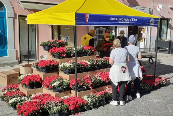 L’azalea della ricerca a favore dell’AIRC