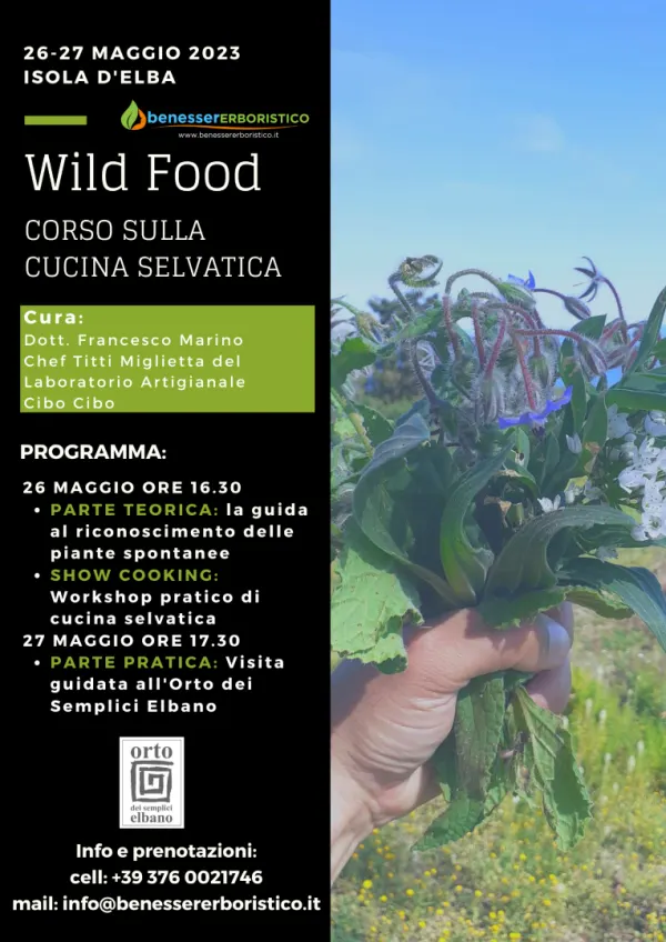 Wild Food – Corso sulla Cucina Selvatica