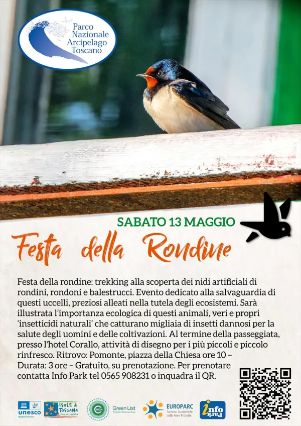 Festa della rondine