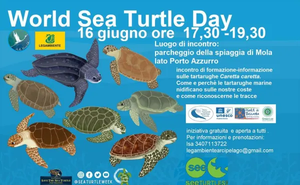 Attenti alla tartaruga!