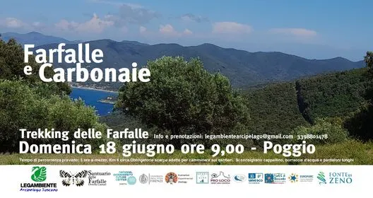 Trekking delle Farfalle - Farfalle e Carbonaie