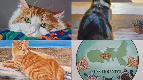Les Errantes - Nelle nostre zampe