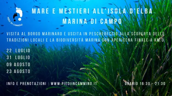Mare e Mestieri all'Isola d'Elba - Marina di Campo