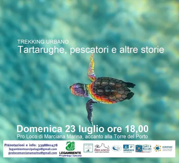 Trekking urbano - Tartarughe, pescatori e altre storie