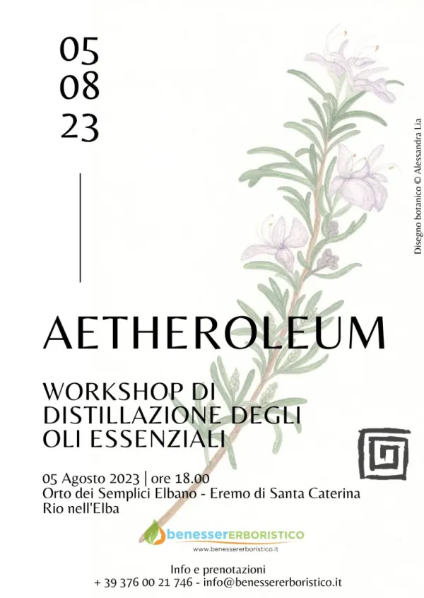 Workshop di Distillazione degli Oli Essenziali