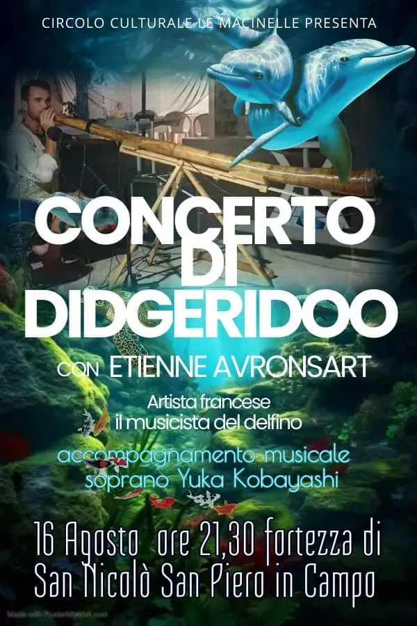 Concerto di Didgeridoo con Etienne Avronsart
