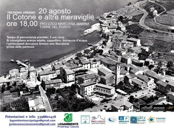 Trekking urbano - Il Cotone e altre meraviglie