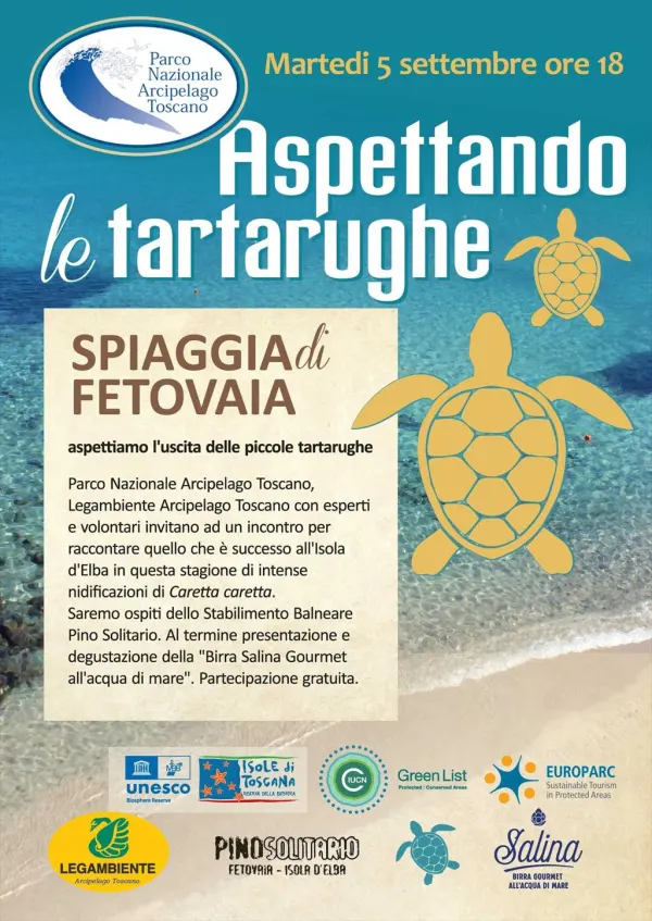 Aspettando le tartarughe