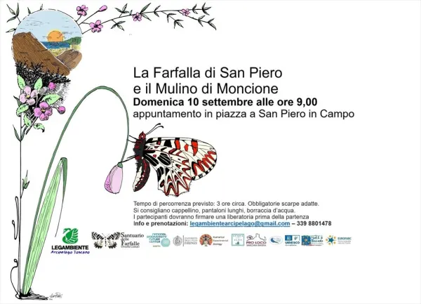 Trekking delle Farfalle - La Farfalla di San Piero