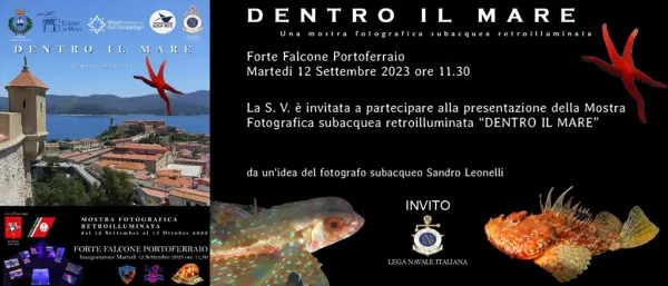 Mostra fotografica subacquea retroilluminata "Dentro il mare"