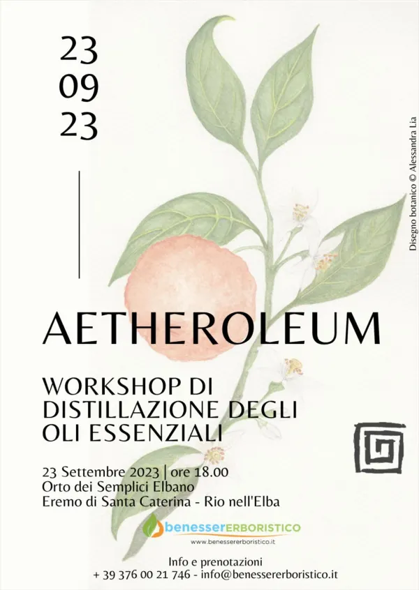 Workshop di Distillazione degli Oli Essenziali