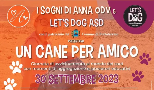 Un cane per amico