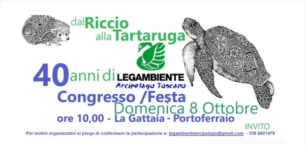Dal Riccio alla Tartaruga