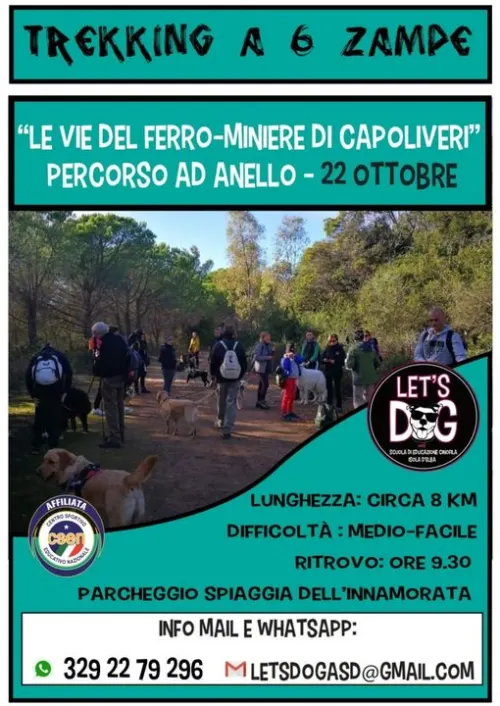 Trekking a 6 zampe "Le Vie del Ferro" 