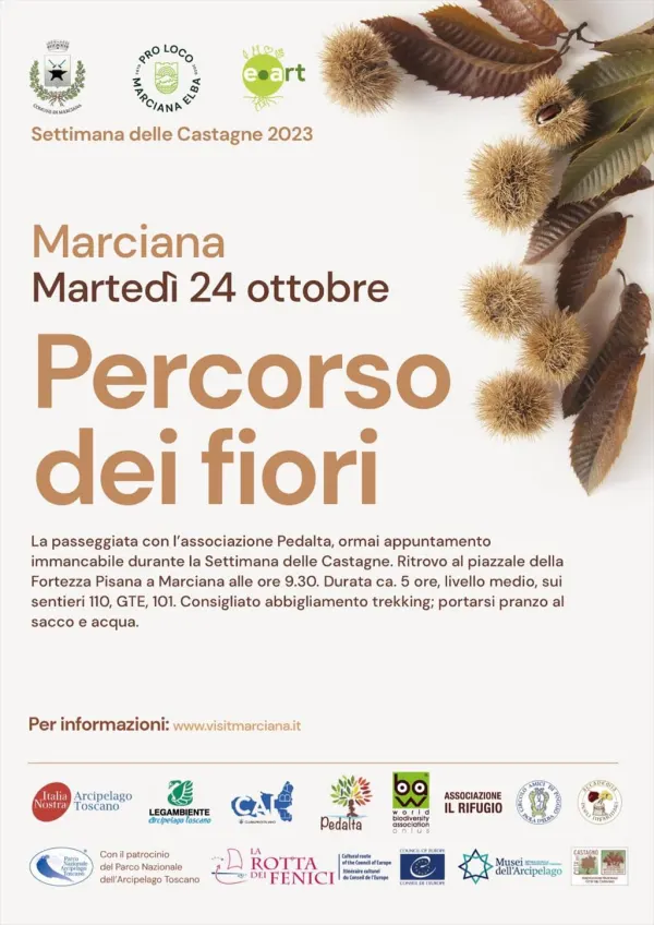Il percorso dei fiori